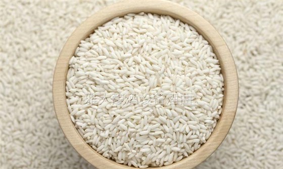 做酒設(shè)備釀造五糧酒的5個(gè)小妖精，到底有什么特有之處？-04-糯米