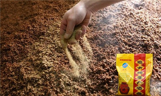 釀酒設(shè)備哪家好？釀酒老師傅告訴你做固態(tài)酒要注意這4點(diǎn)！-03-高粱拌曲