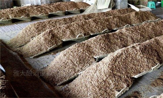 都說酒是糧食釀的，那么現(xiàn)在酒廠的酒糟都去哪里了？