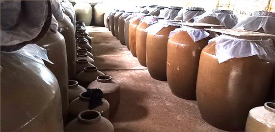 用大型釀酒設(shè)備蒸餾酒做窖藏酒