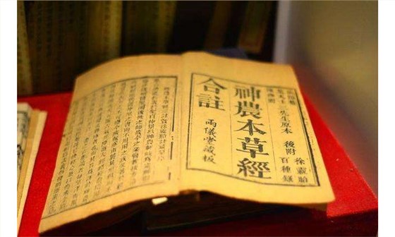 蒼耳對(duì)治療鼻炎，鼻竇炎有一定的效果