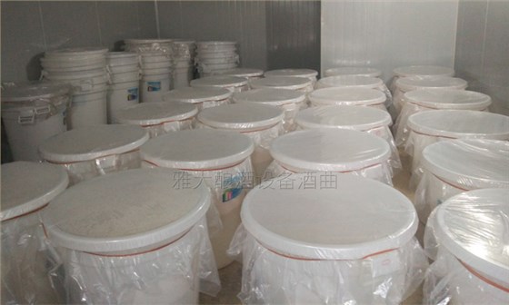 試用雅大水果酒曲常大哥對出酒率 及口感很滿意