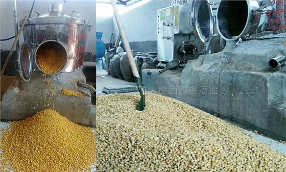 雅大側開口釀酒設備