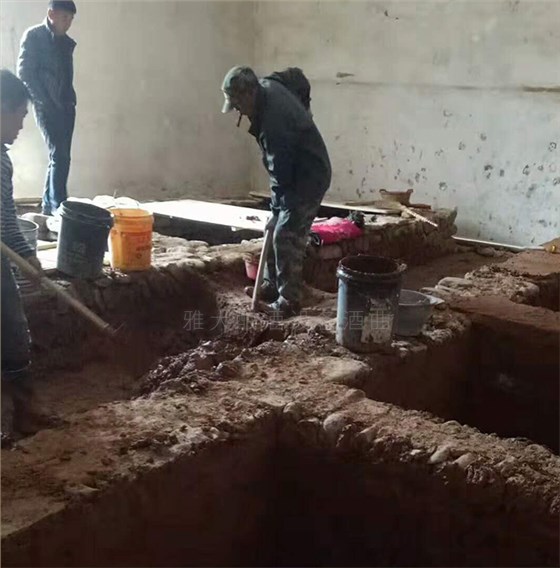 6.9用雅大全自動(dòng)釀酒設(shè)備、混蒸混燒工藝釀造美味濃香型白酒8 濃香白酒酵池建設(shè)中