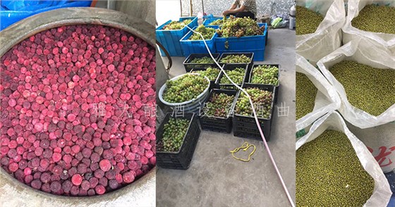 7.19-5套制酒設(shè)備，自己釀酒+上門加工相結(jié)合，生意火爆整個(gè)余姚-