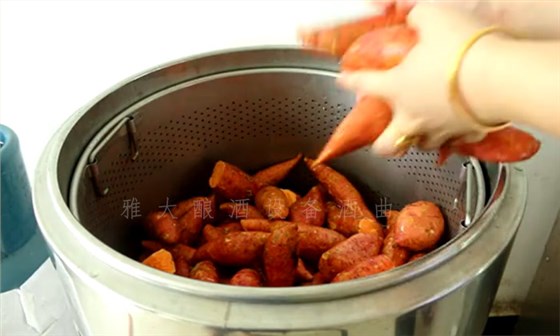 8.10-8步教您用小型酒廠釀酒設(shè)備釀造紅薯酒，純實操！1