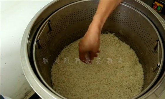8.10-8步教您用小型酒廠釀酒設(shè)備釀造紅薯酒，純實操！3