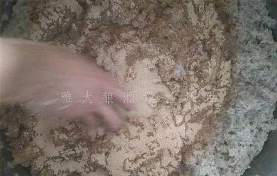 18.11-農(nóng)村又一波野果朝我們奔來，趕緊用釀酒設備白酒將它們釀成酒吧！4