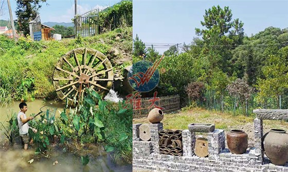 8.20-用蒸酒設(shè)備做酒的老酒坊發(fā)展遇瓶頸，雅大國家釀酒師來破局！8