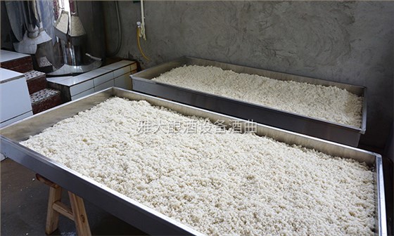 5-李樹剛用糧食釀酒設備做酒，攤涼