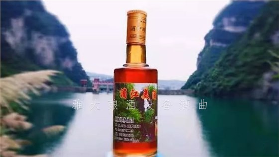 8.25-兵哥哥用雅大制酒設(shè)備釀出湄江招牌旅游產(chǎn)品，月凈賺3萬0
