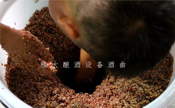 9.12特色酒研發(fā)大米酒我見(jiàn)過(guò)但用雅大釀酒設(shè)備釀五色米酒你見(jiàn)過(guò)嗎8