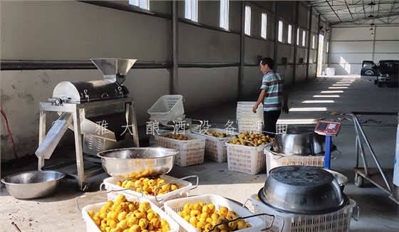 8.24-印江縣黃桃滯銷，冉總引進(jìn)雅大電加熱釀酒設(shè)備靠&ldquo;釀&rdquo;帶動(dòng)銷量-4