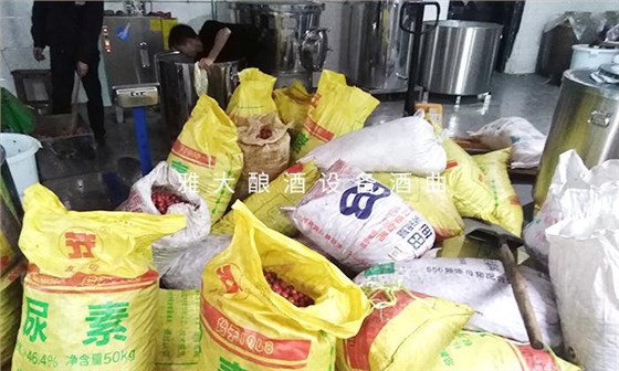 它酷似櫻桃，90后用果酒釀酒設(shè)備將它釀酒，見過的不多 2