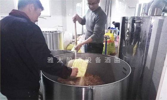 它酷似櫻桃，90后用果酒釀酒設(shè)備將它釀酒，見過的不多 6