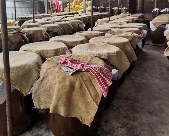 退休后用新型釀酒設(shè)備造造酒,花甲之年開創(chuàng)釀酒大事業(yè) 5