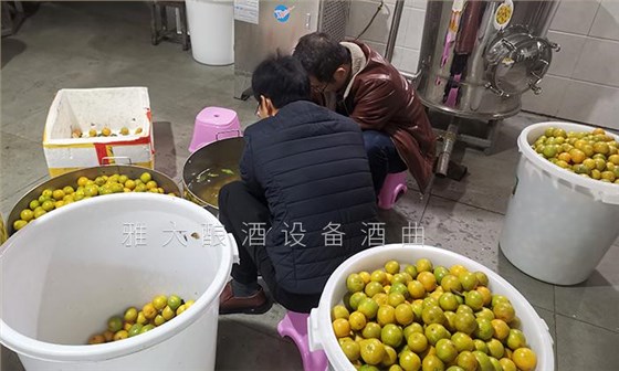 2020年做什么賺錢快？這些人都用果酒釀酒設(shè)備開了特色酒坊 8