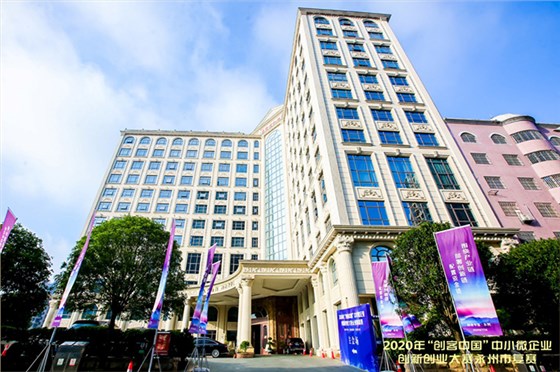 &ldquo;雅大&rdquo;參加&ldquo;雙創(chuàng)&rdquo;比賽路演 6