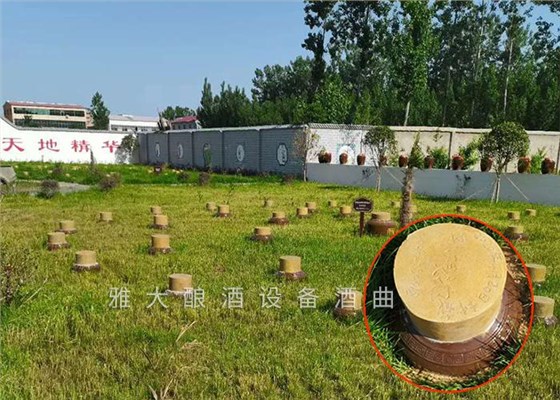 開啟&ldquo;種酒&rdquo;全新白酒營(yíng)銷模式，打造小型酒廠釀酒設(shè)備特色純糧窖藏酒坊！ 7