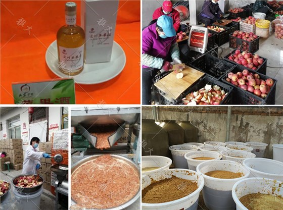 大型釀酒設(shè)備做蘋果酒，&ldquo;花樣&rdquo;賺錢1