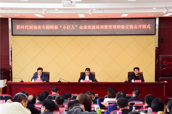 新時代湖南省專精特新&ldquo;小巨人&rdquo;企業(yè)黨建培訓