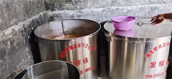 實用的枇杷釀酒技術(shù)來了，您想學嗎？ 6