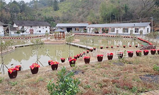 用白酒蒸餾設備做李子酒的標準教程被公布，趕緊去看看吧！ 2