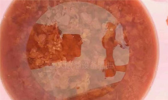 用白酒蒸餾設(shè)備做李子酒的標(biāo)準(zhǔn)教程被公布，趕緊去看看吧！ 9