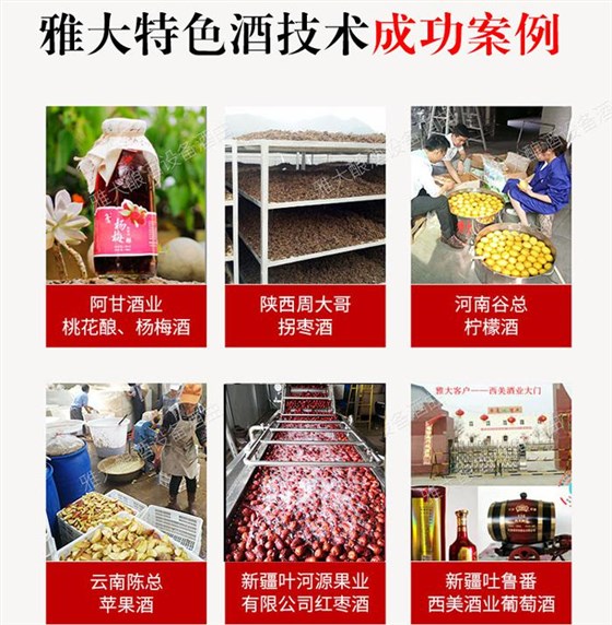 做水果酒有講究，酒曲一定要選對！ 5