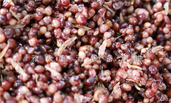 中國(guó)白酒是地域產(chǎn)物，選擇合適的工藝和烤酒設(shè)備是關(guān)鍵！3