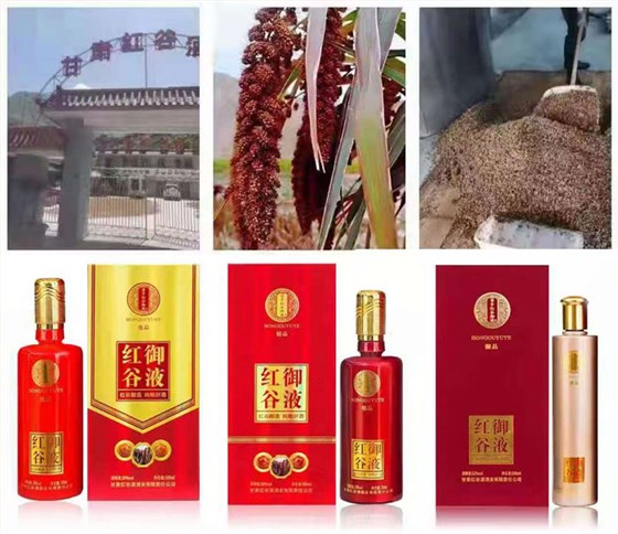 雅大2021&ldquo;暑期酒廠實操教學(xué)&rdquo;開班啦！ 4