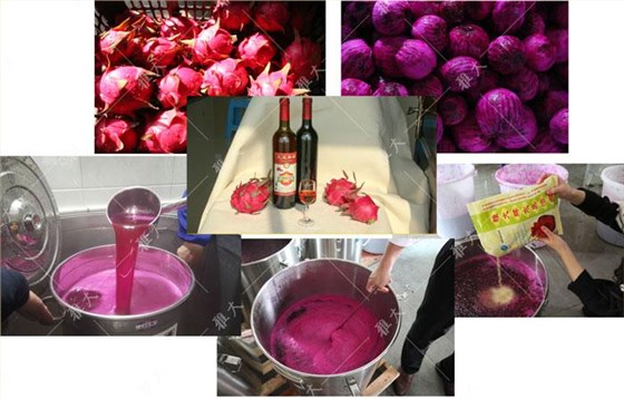 雅大2021&ldquo;暑期酒廠實操教學(xué)&rdquo;開班啦！ 19