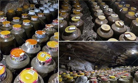 引進(jìn)大型釀酒設(shè)備，酒旅融合，依托溶洞優(yōu)勢(shì)資源打造特色洞藏酒 8