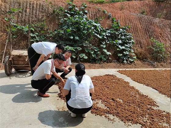 辭職返鄉(xiāng)建酒莊，年銷售額突破100萬 5
