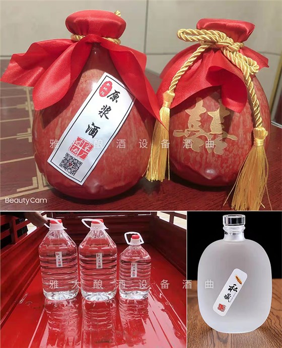 12.18致富新模式，用烤酒設(shè)備蒸酒后的酒糟飼養(yǎng)肉牛成本低，效益高-瓶裝酒