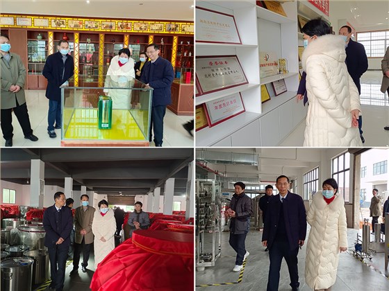 市政府副市長(zhǎng)李旦梅來雅大考察