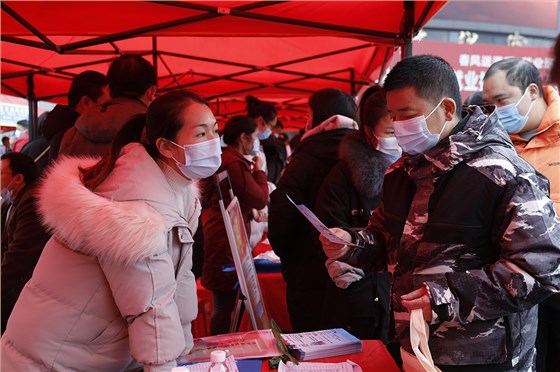 春風送溫暖，就業(yè)送真情4