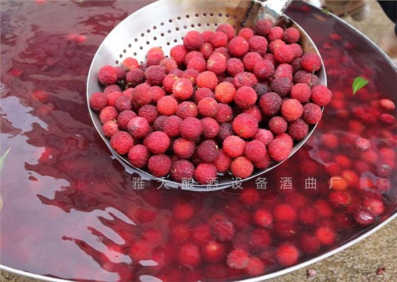 夏季用不銹鋼釀酒設(shè)備做酒，這3大白酒市場一定要把握?。?