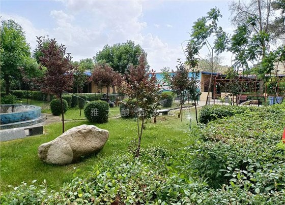 工程師變身&ldquo;農(nóng)莊主&rdquo;，又引進白酒烤酒設(shè)備，為農(nóng)莊增添新特色9