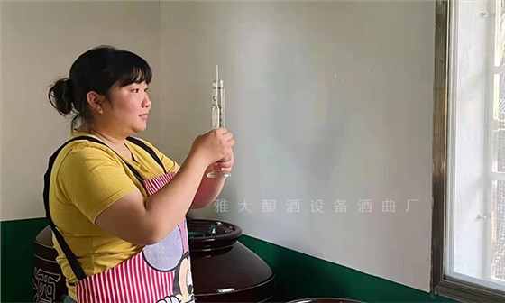 用50-60度的高品質純糧酒泡黑螞蟻