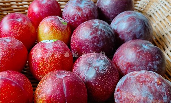 表皮自帶酵母數(shù)量不夠，發(fā)酵力弱