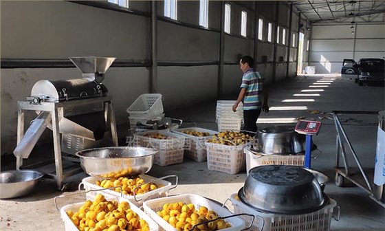 引進果酒釀酒設(shè)備對黃桃加工