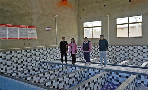 夏季用白酒蒸餾設(shè)備釀酒為什么容易酒苦？ 4