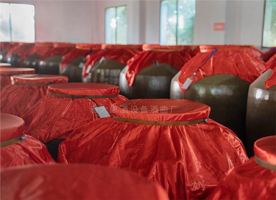 用果酒釀酒設備將荔枝釀成酒，提升果農利潤和市場競爭力 9