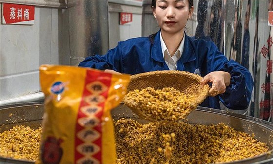 2024一個人就能干的小本創(chuàng)業(yè)項目&mdash;&mdash;回鄉(xiāng)開酒坊 釀酒設備 2 3