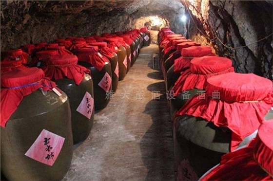 做強本土特色果酒產業(yè)，開辟果酒&ldquo;新&rdquo;賽道10