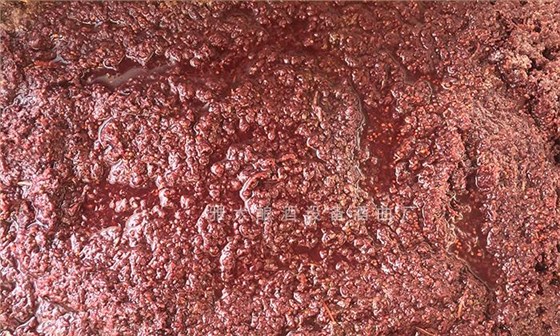 果酒想長時間儲存不酸敗，需掌握這些儲存技巧 3