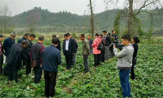 從田間到杯中，用蒸汽釀酒設備釀造美味葛根酒！ 2