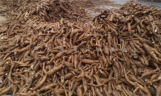 從田間到杯中，用蒸汽釀酒設備釀造美味葛根酒！ 3