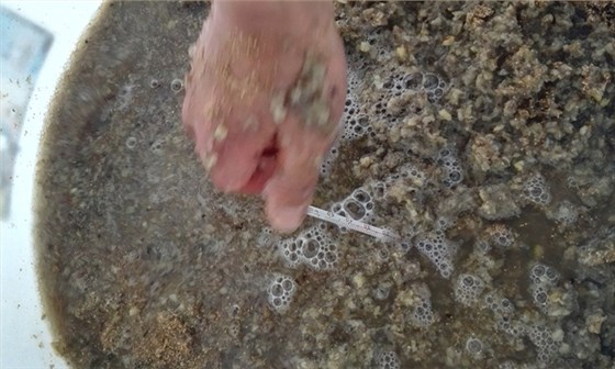 從田間到杯中，用蒸汽釀酒設備釀造美味葛根酒！ 6